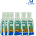 hand sanitizer travel size/mini hand sanitizer travel size